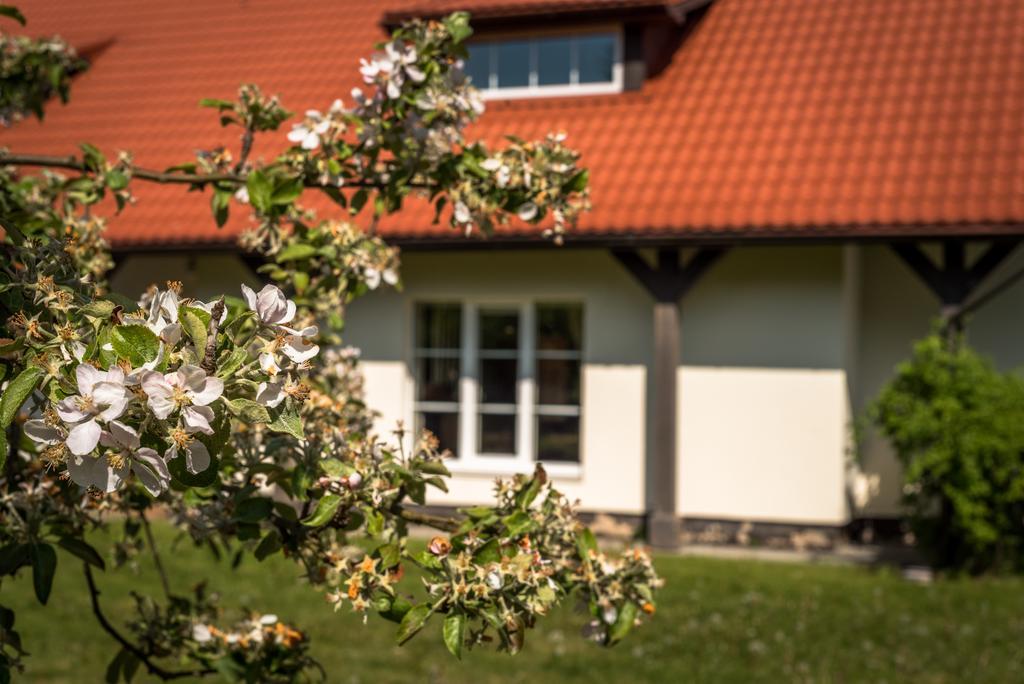 Karkles Villa - Prie Juros Dış mekan fotoğraf